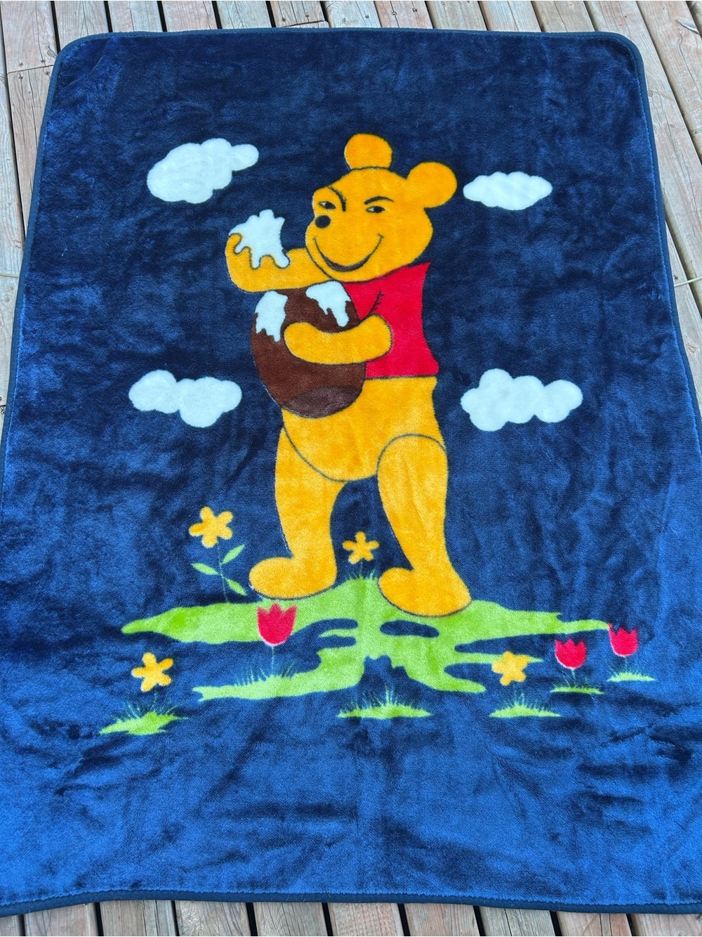 Vintage “Cursed” Winnie the Pooh Heavy Plush Mink Throw Blanket